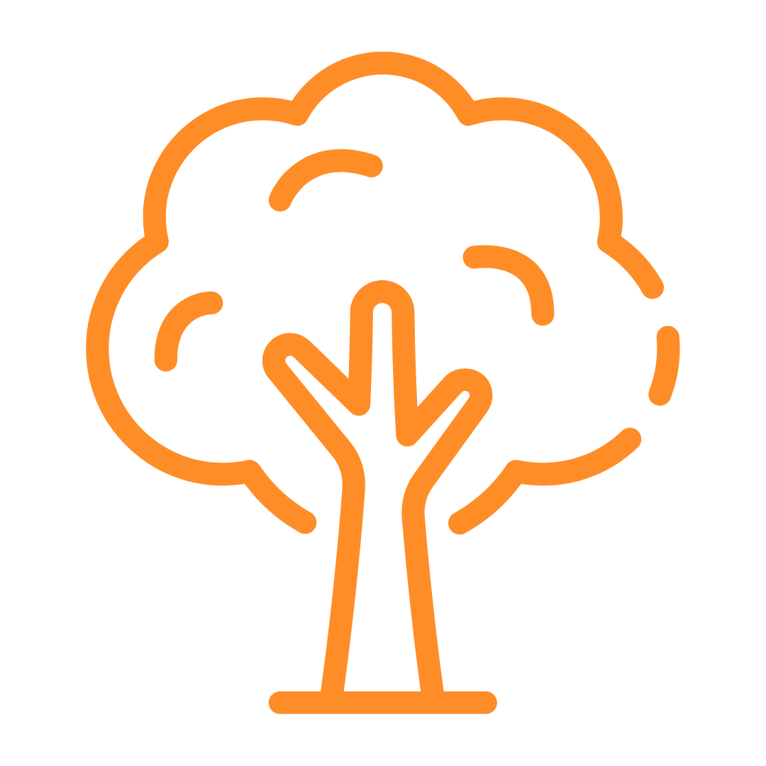 Boost icon